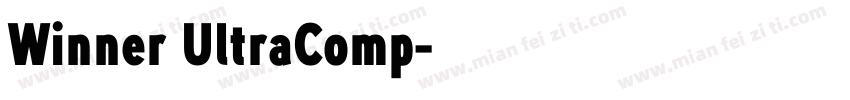 Winner UltraComp字体转换